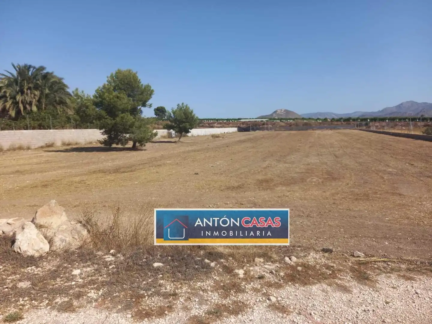 Rural land for sale in Novelda, imagen 8