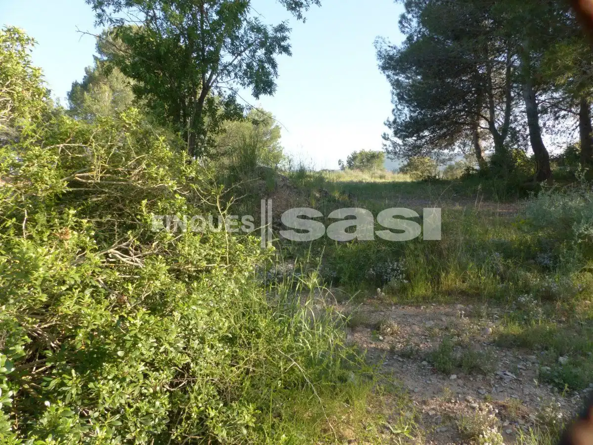 Residential land for sale in Sesoliveres - Pla de la Massa, imagen 12