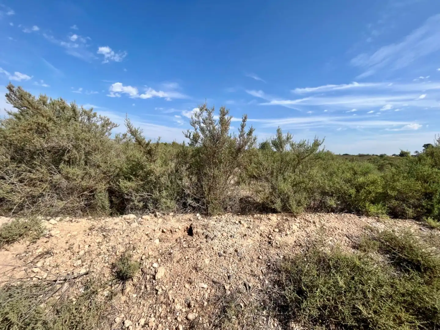 Residencial en venta en Elche de la Sierra