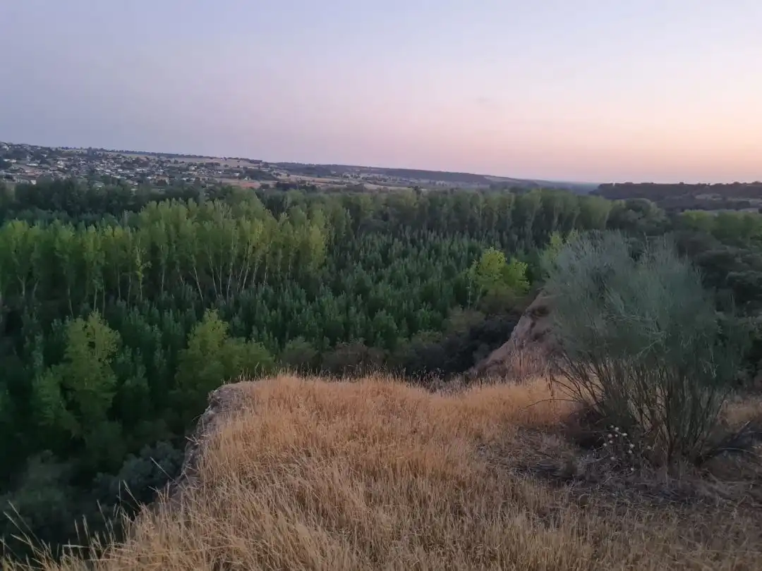 Terreni e lotti in vendita a Escalona, imagen 12