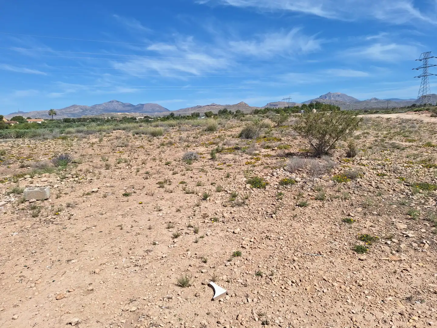 Rural land for sale in Los Girasoles, imagen 2
