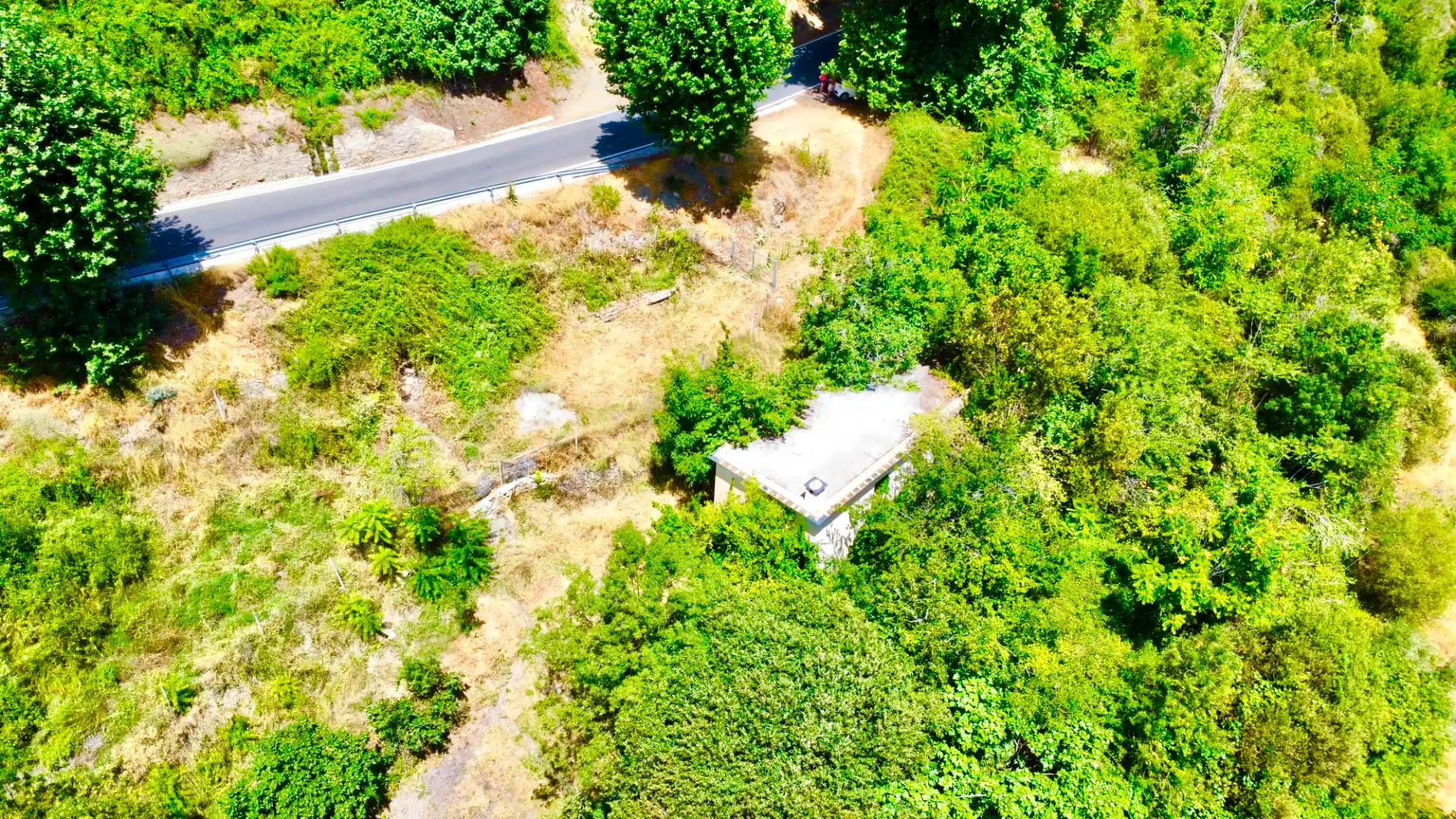 Finca rústica en venta en Alpujarra de la Sierra