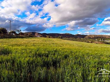 Terreni e lotti in vendita a Jardines de Alhaurín - Huerta Alta - Fuensanguínea