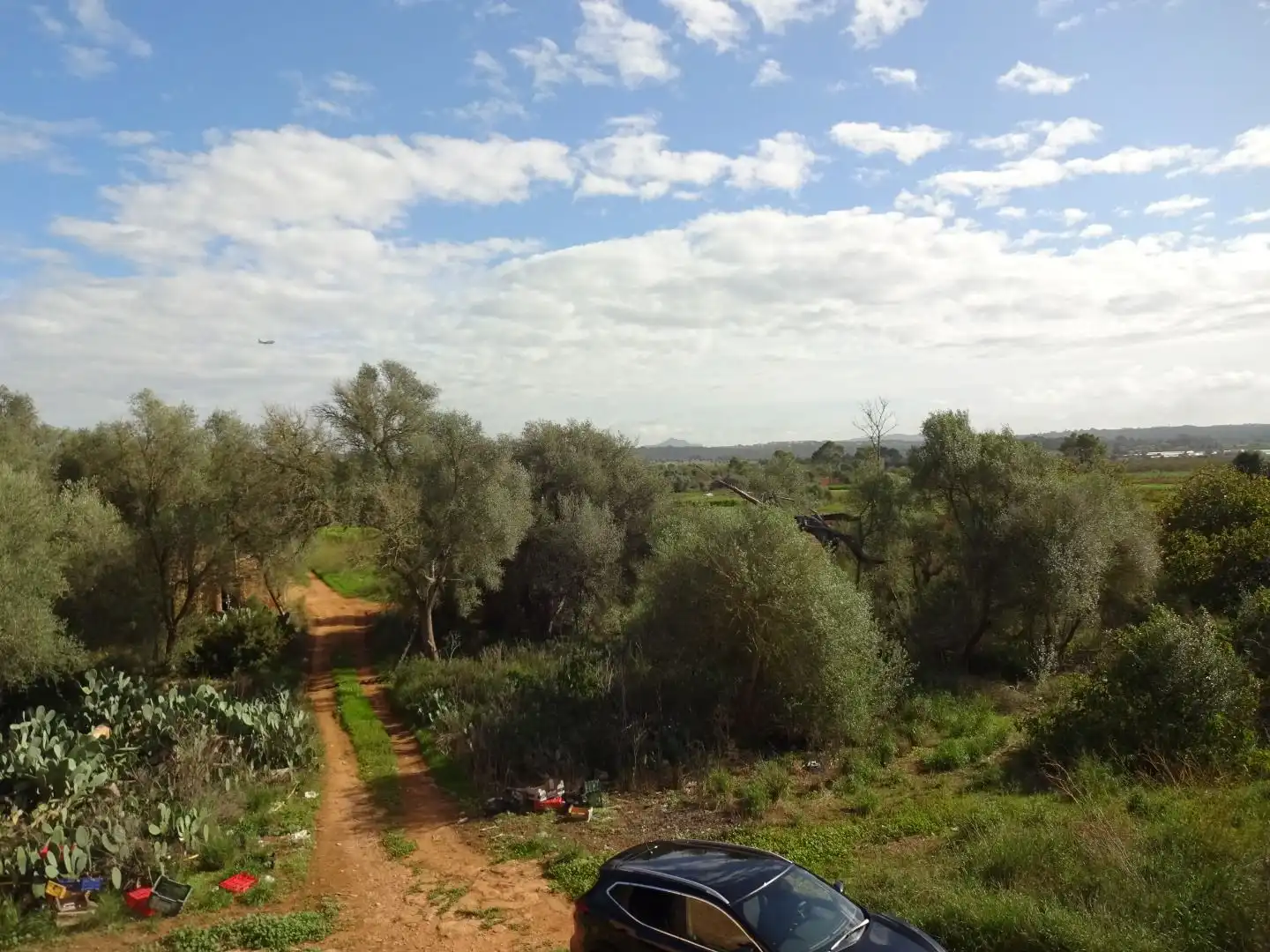 Finca rústica en venta en  Palma de Mallorca