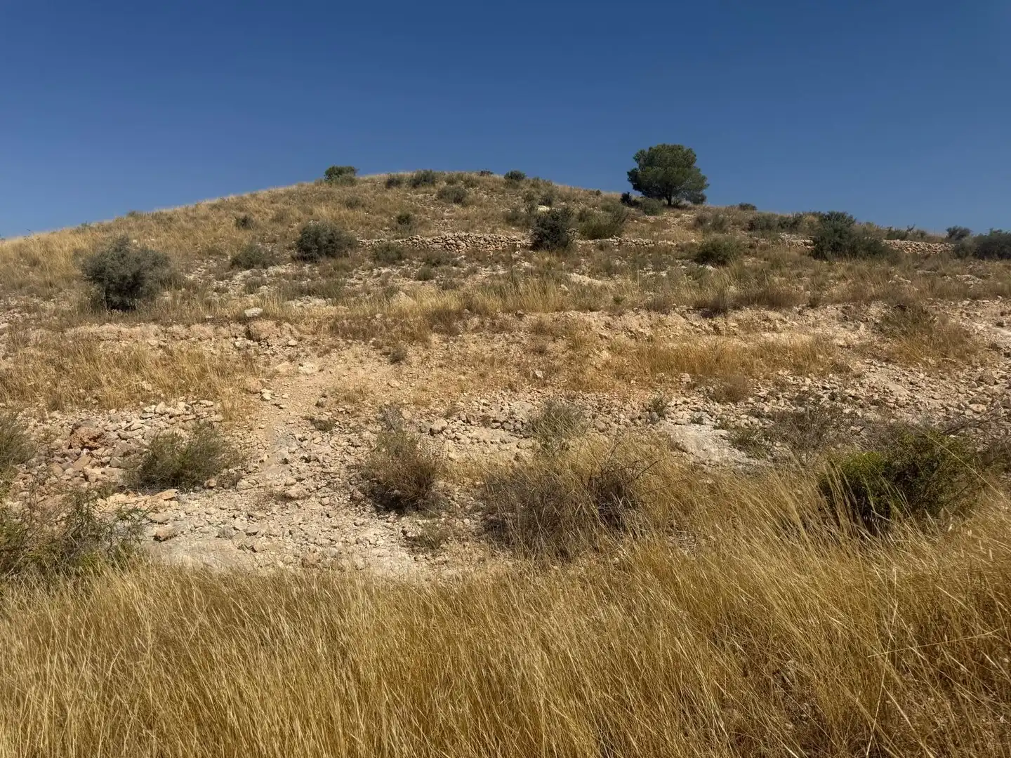 Grundstücke zum Verkauf in Hondón de las Nieves / El Fondó de les Neus, Alicante