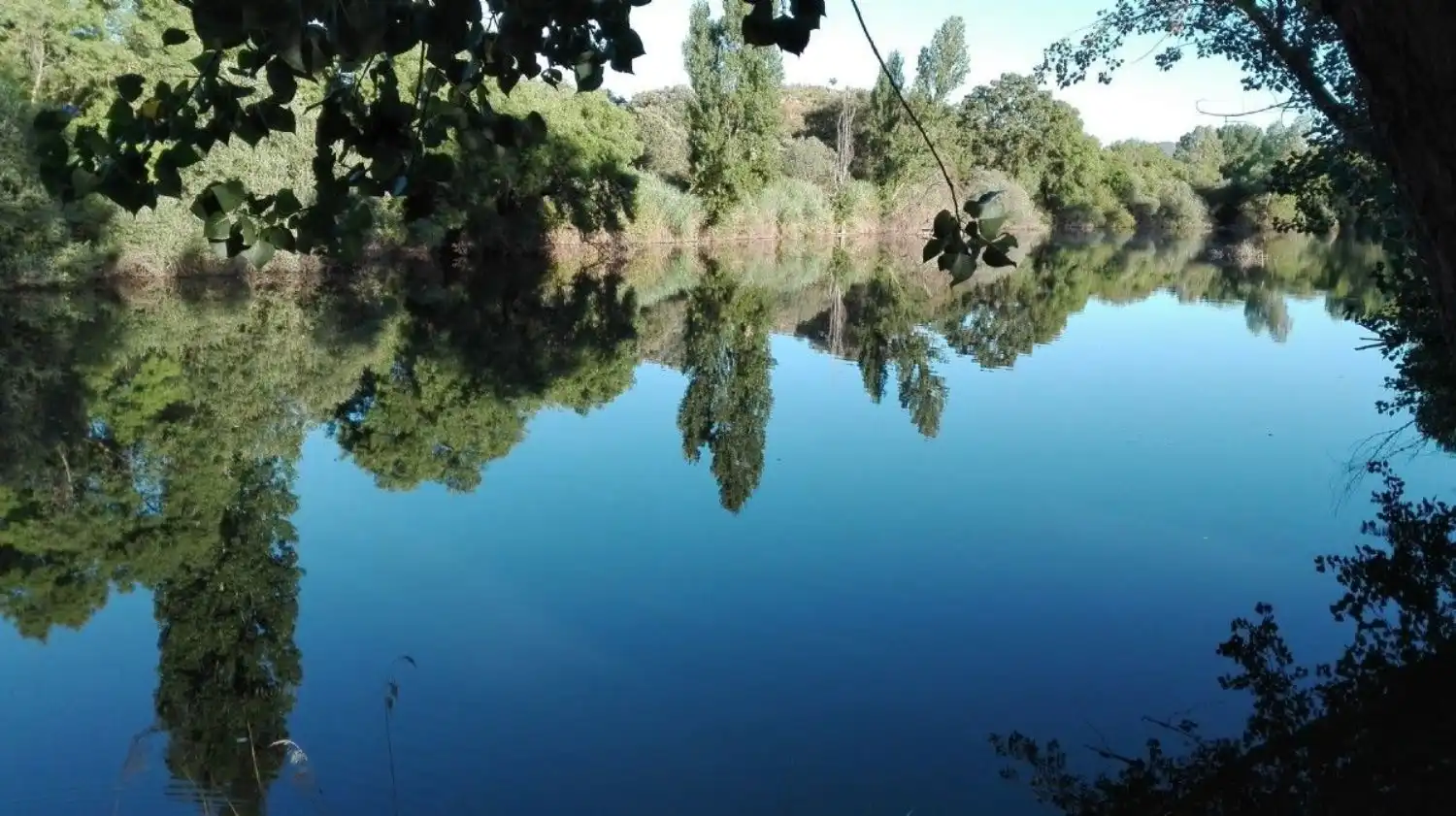 Vista exterior de Casa o xalet en venda en Piedrabuena amb Aire condicionat, Calefacció i Jardí privat