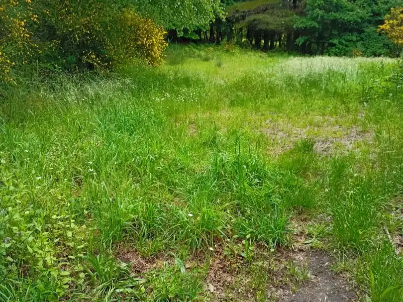 Rural land for sale in a peroxa 2