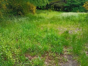 Terreno rustico in vendita a a peroxa 2
