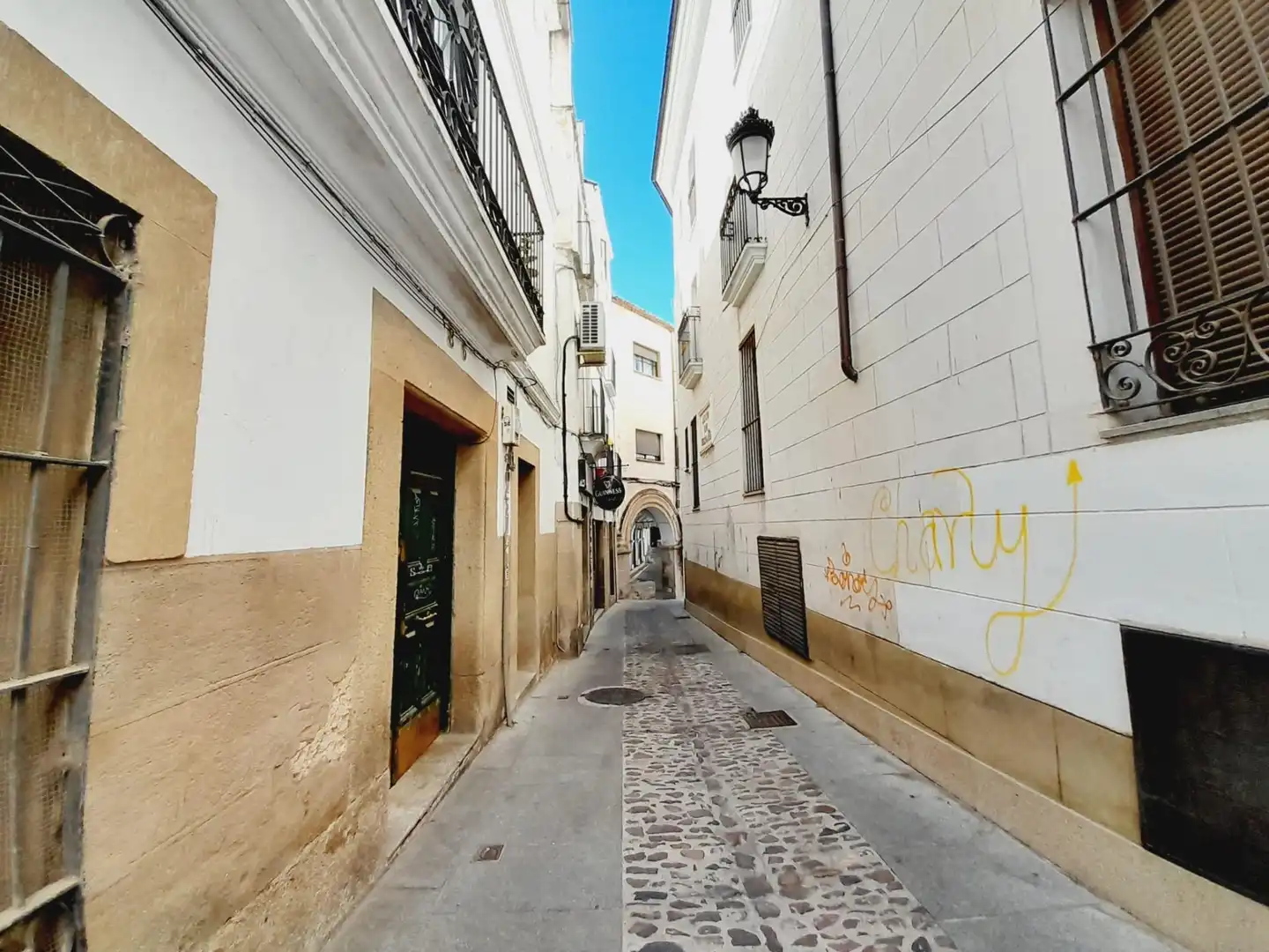Immobles singulars en venda a Casco Antiguo, imagen 25