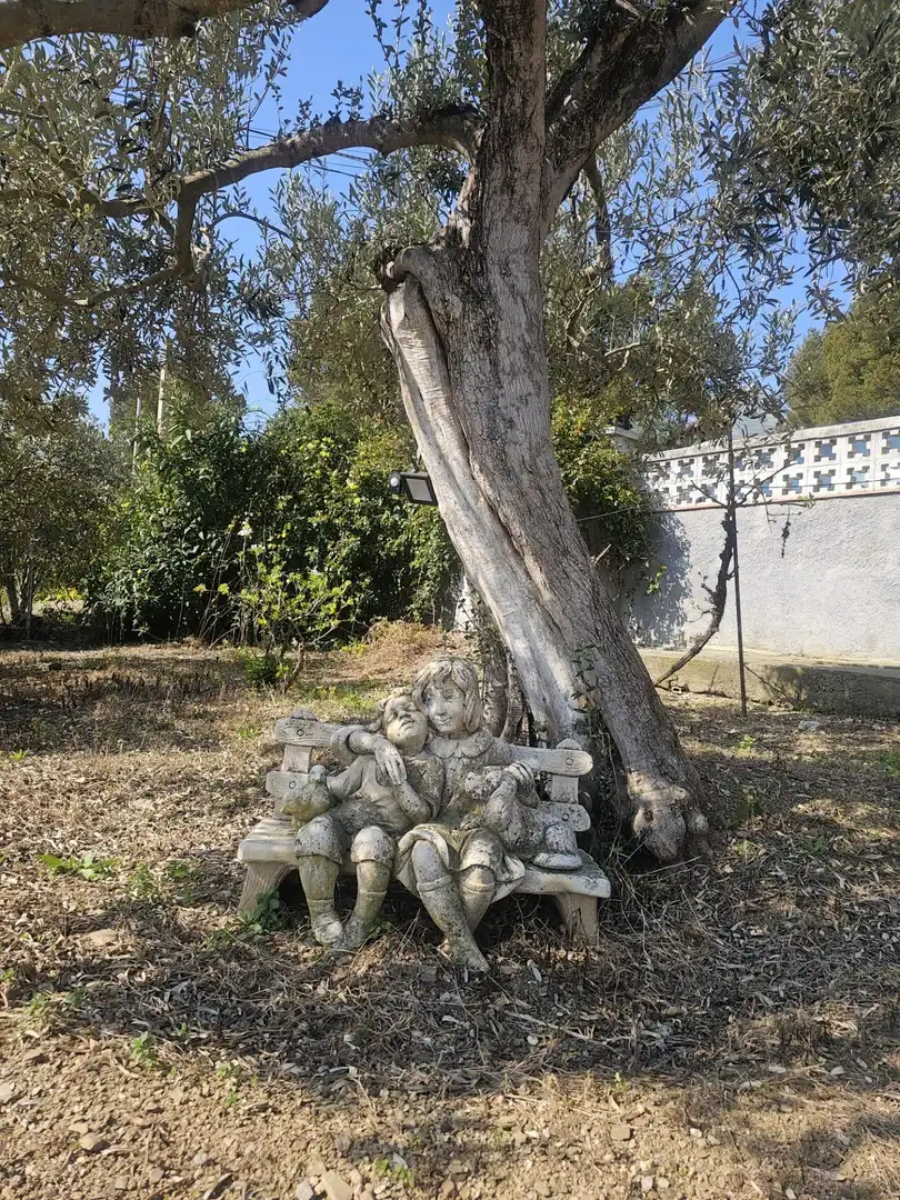 Jardín de Casa o chalet en venta en Esparreguera con Jardín privado, Terraza y Piscina