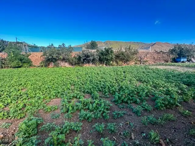 Land for sale in Granadilla de Abona