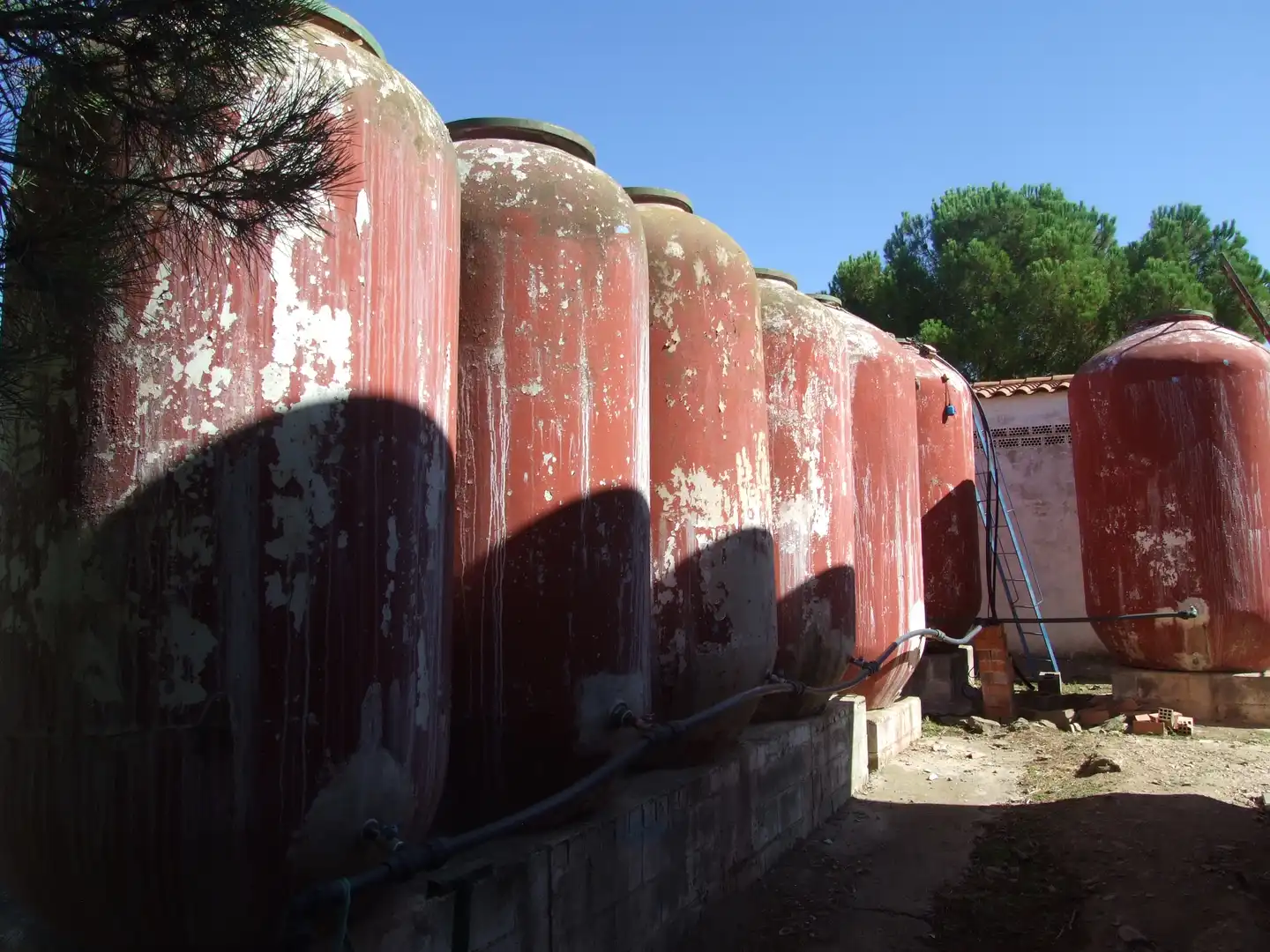 Terreno rustico in vendita a Carretera Fuente del Maestre-Huerta Julián 44, imagen 13