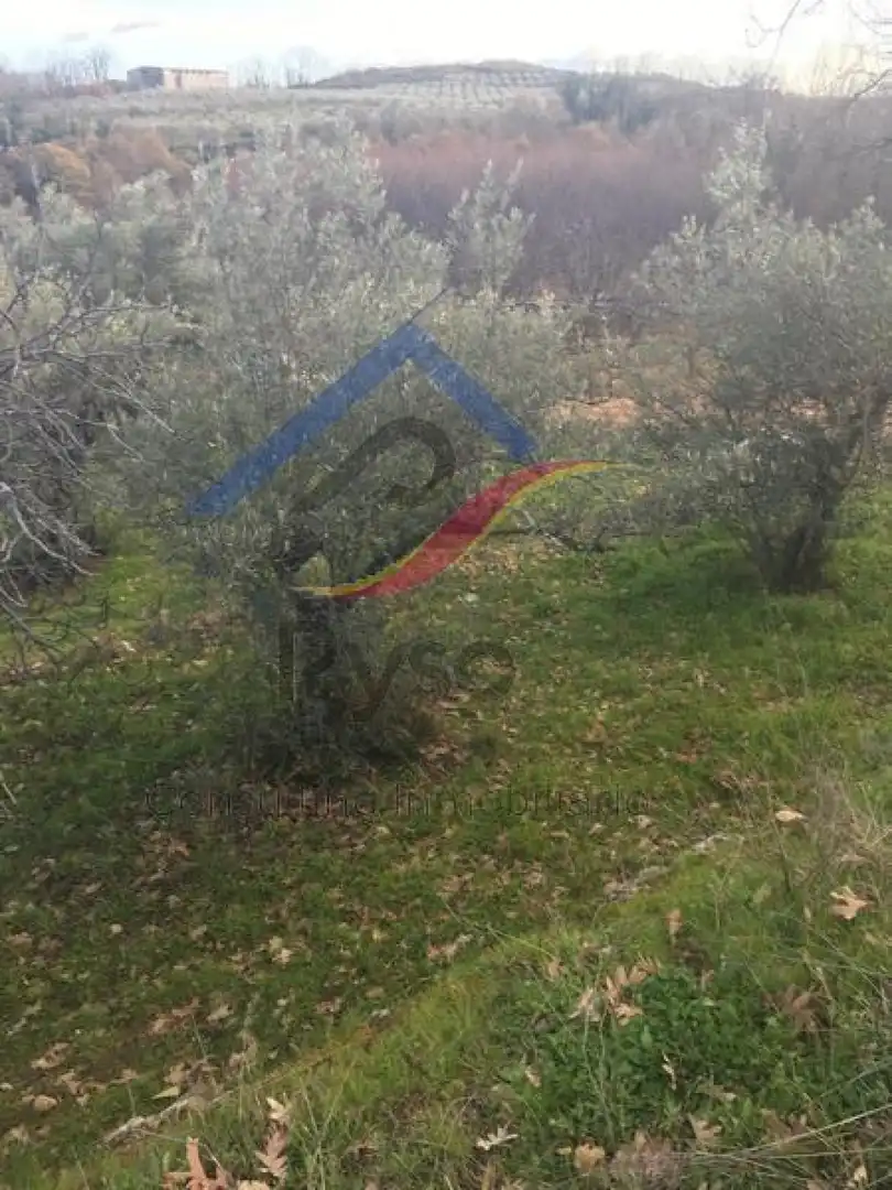 Terreni e lotti in vendita a Calle Calvario, imagen 5