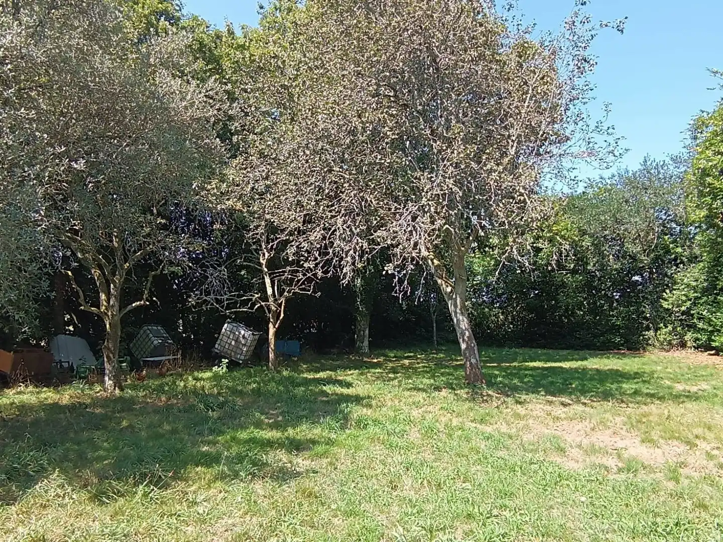 Country homes for sale in Aranga