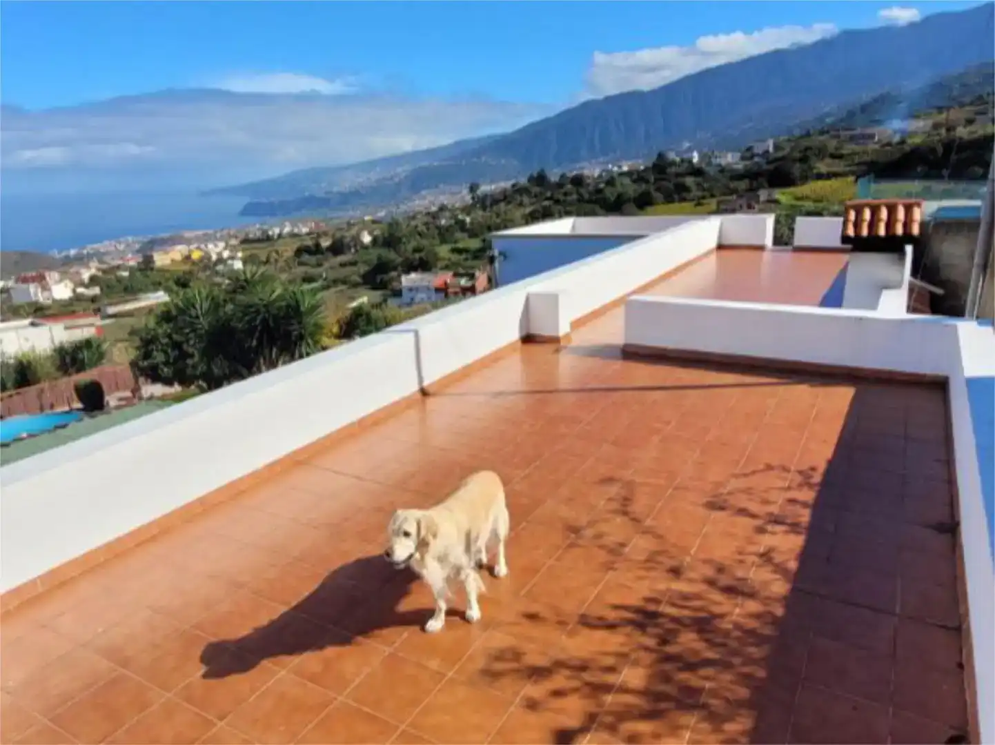 Vista exterior de Pis en venda en Los Realejos amb Piscina
