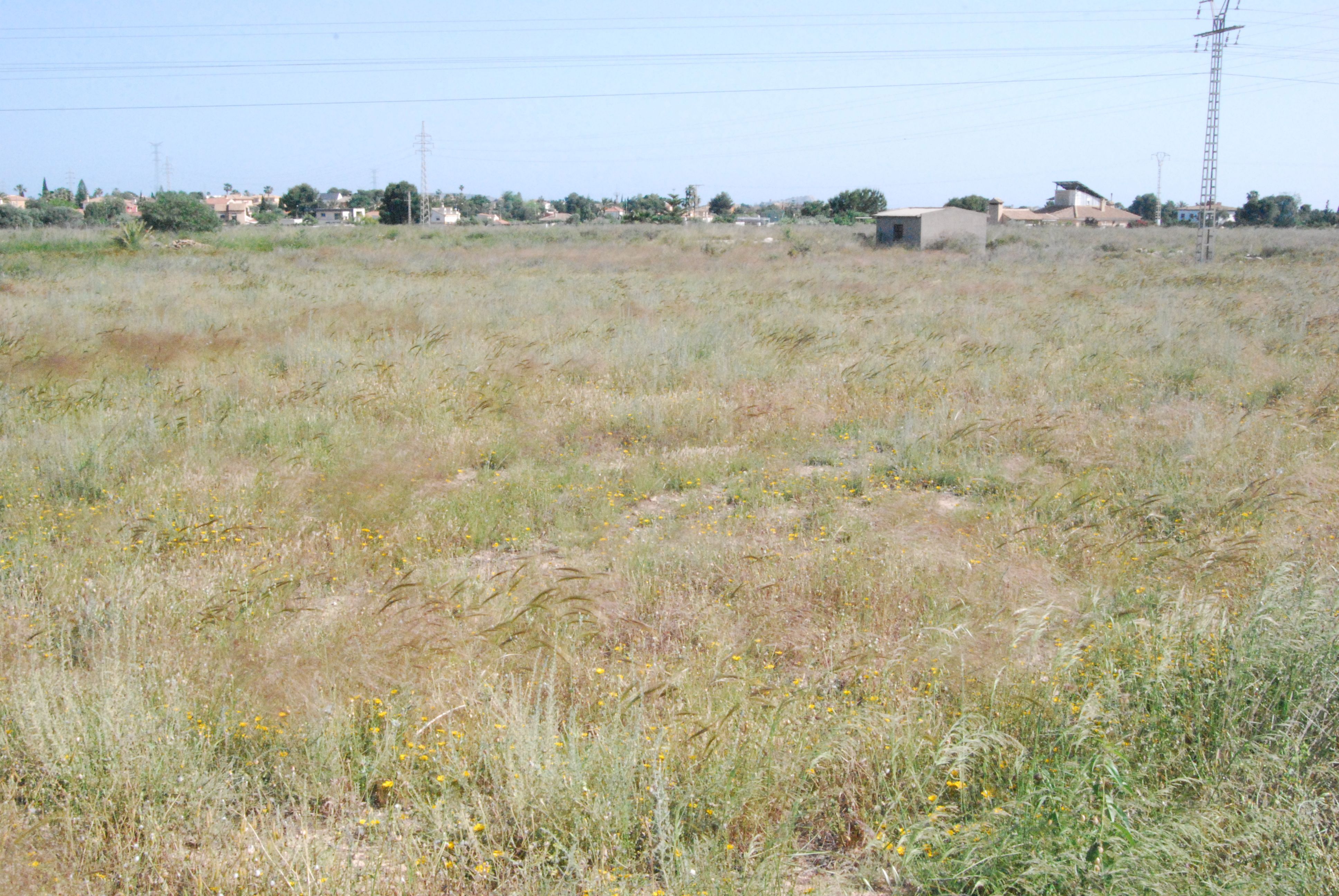 Land for sale in Mutxamel