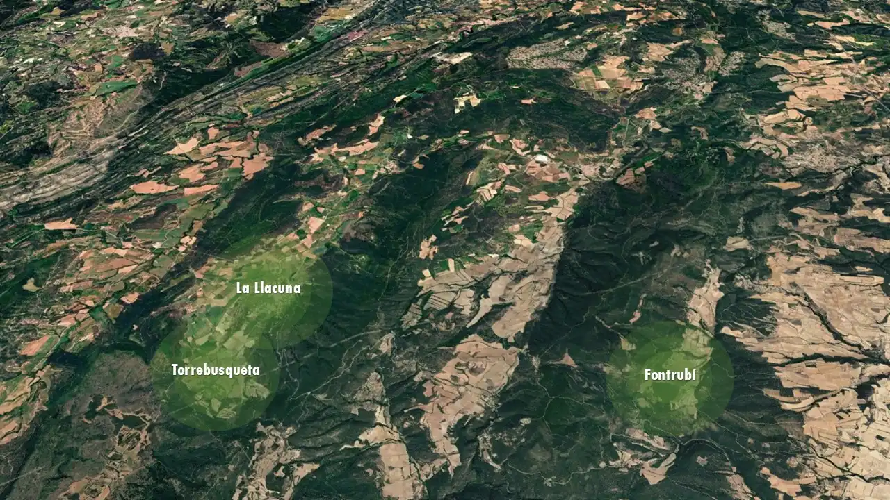 Rural land for sale in C/ Vilafranca, imagen 5