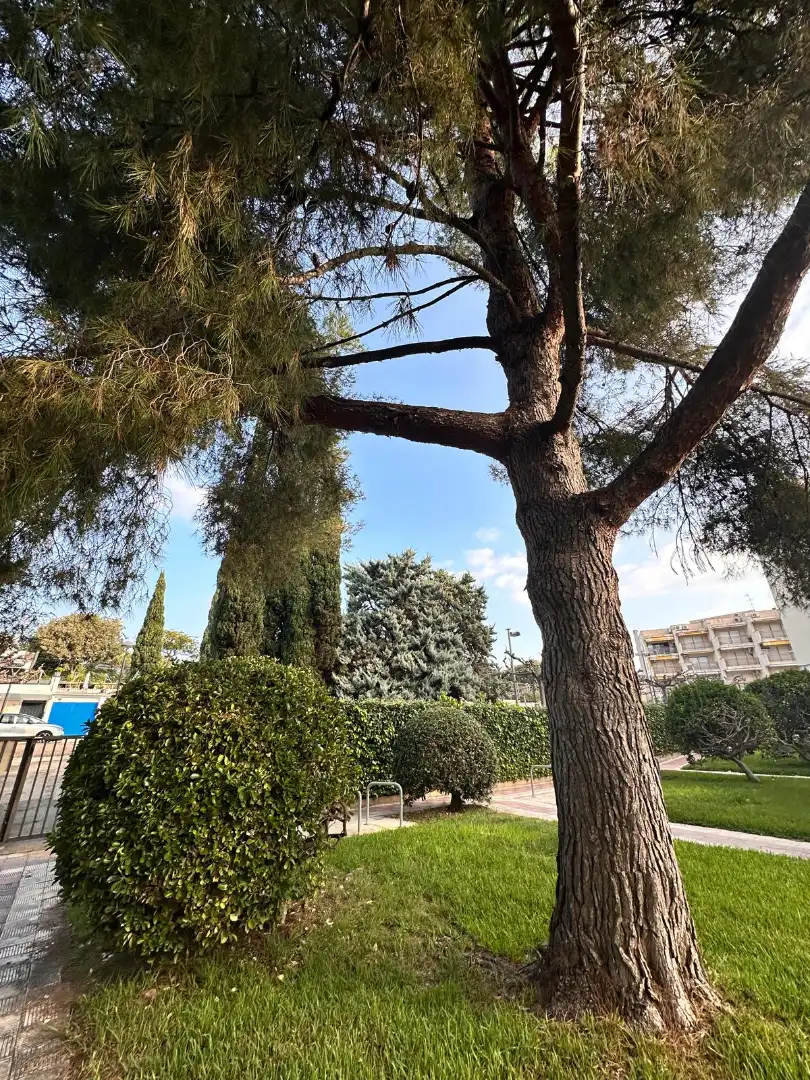 Apartament de lloguer a Passeig Marítim, 27, Cambrils Port