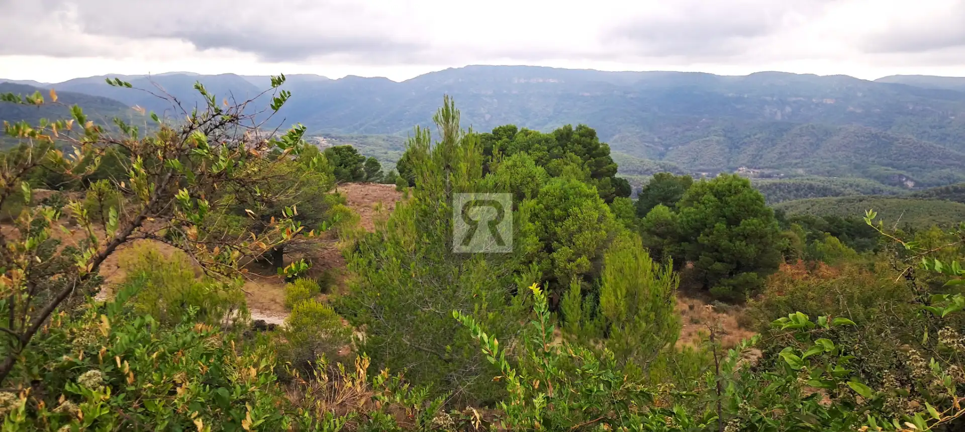 Terrain rustique à vendre à Coroneta 30, imagen 8