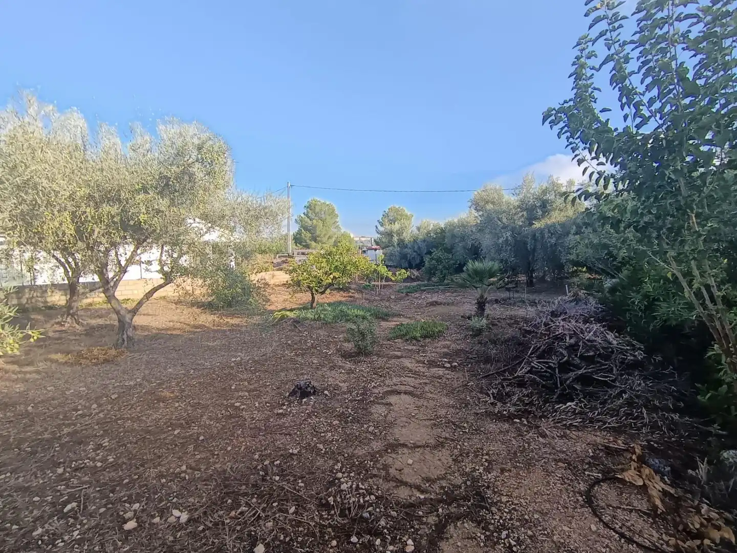 Finca rústica en venda a Chiva, Valencia