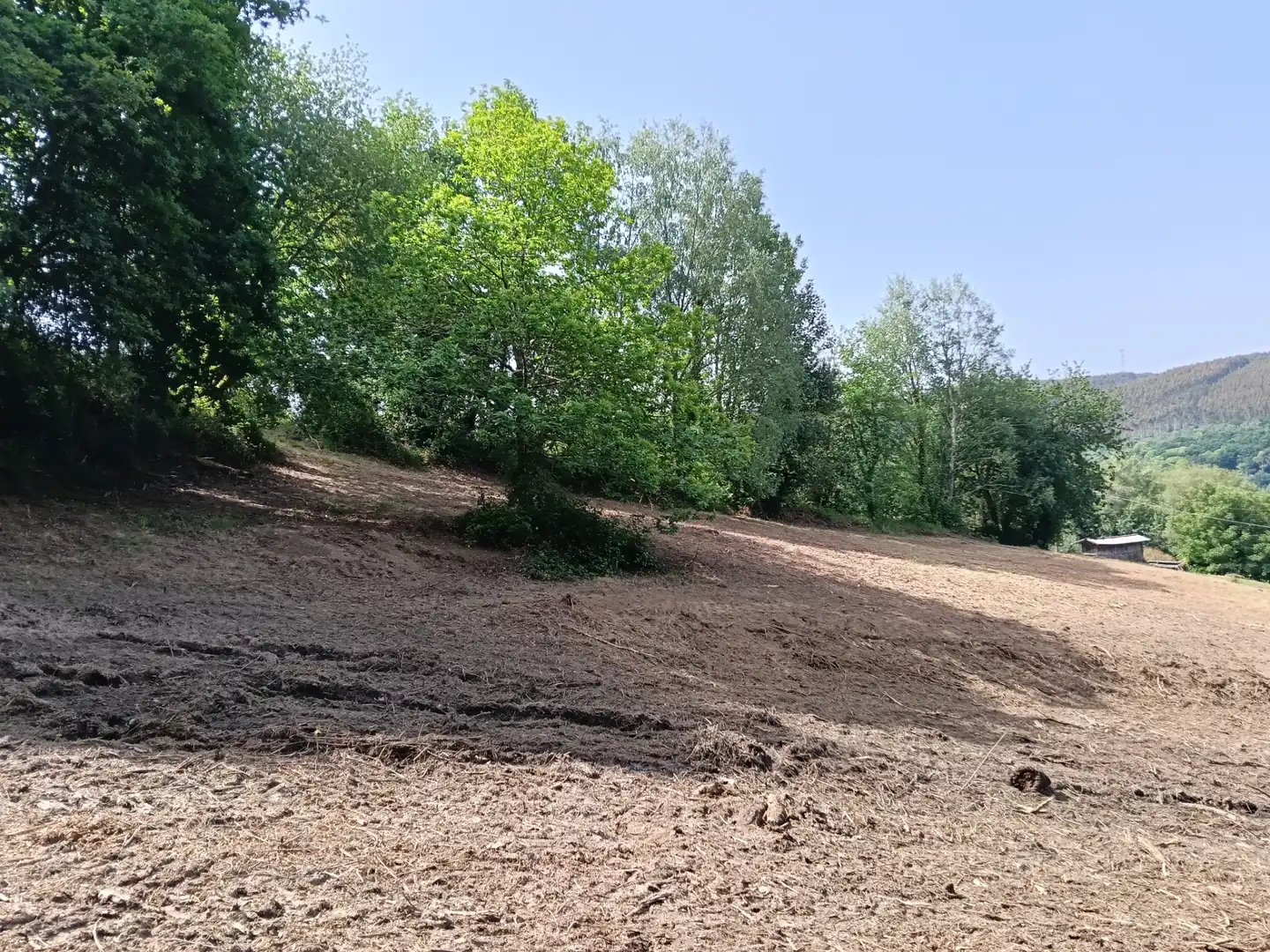 Maison avec jardin à vendre à Cesuras, imagen 18