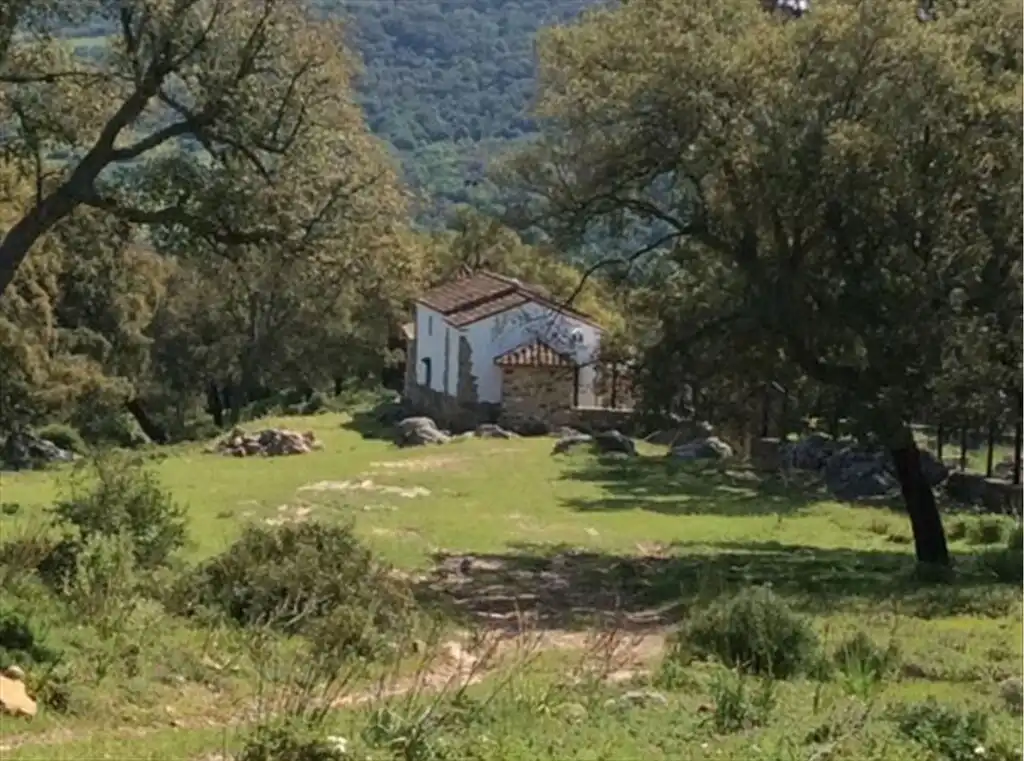 Casa rústica amb piscina en venda a Cortes de la Frontera, imagen 3