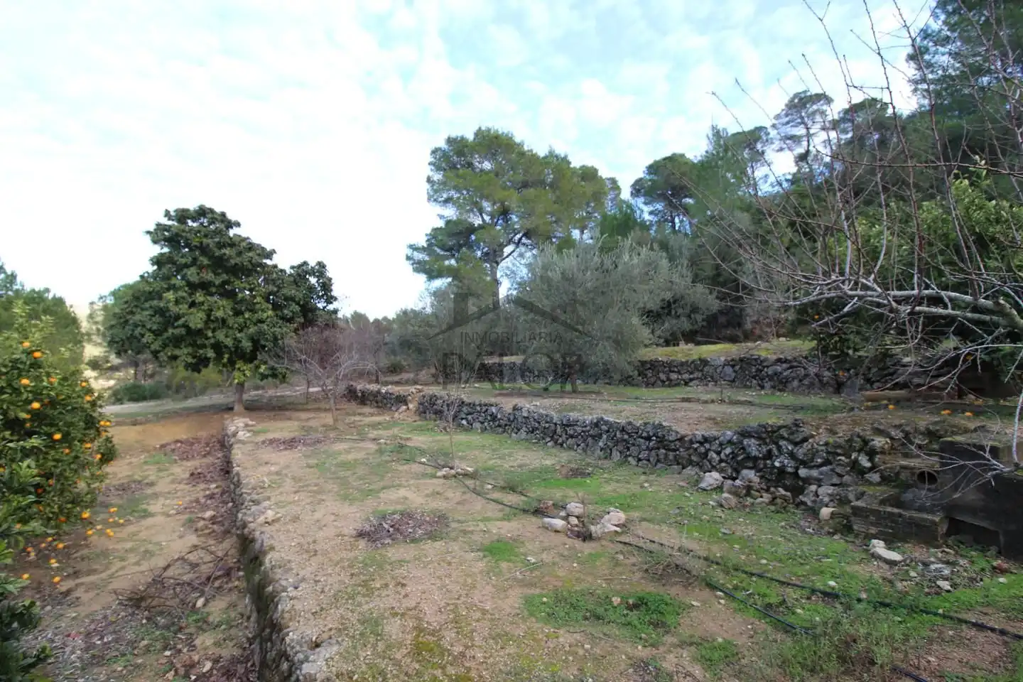 Terrenos y solares en venta en barranc del salt, imagen 15
