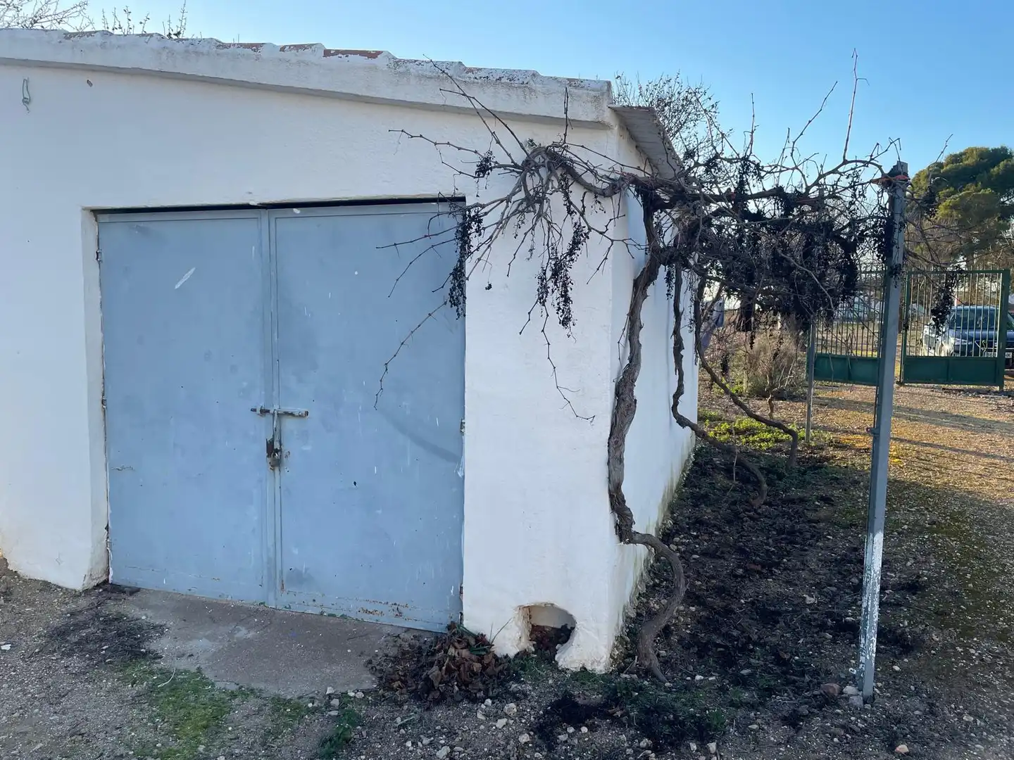 Vista exterior de Finca rústica en venta en Ciudad Real con Amueblado