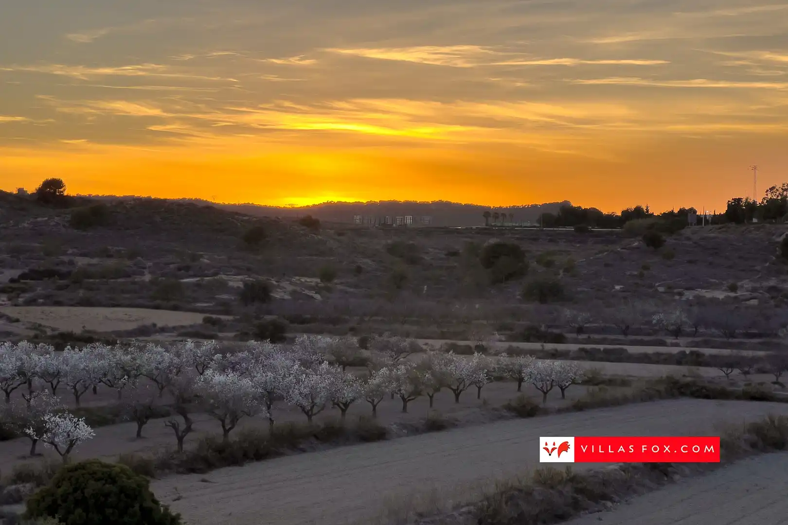 Reihenhaus zum Verkauf in San Miguel de Salinas, imagen 51