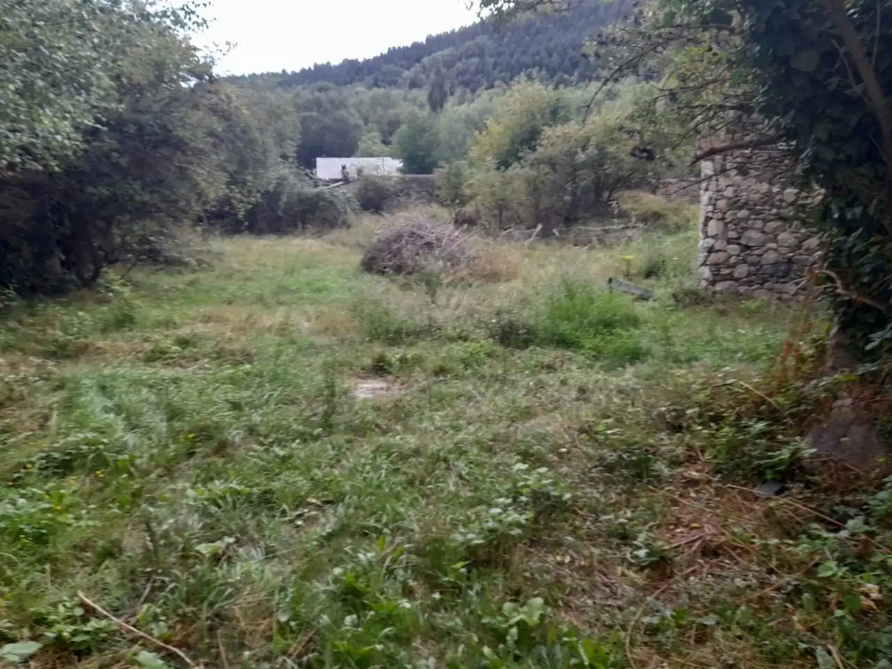 Casa rústica amb jardí en venda a Latour - de - Carol, imagen 52