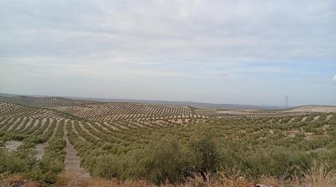 Foto 4 de Residencial en venda a Polígono 30 Parcela 26, 26, Jauja, Córdoba