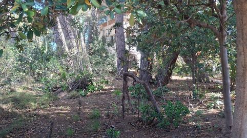 Foto 4 de Finca rústica en venta en Rincón Bajo, Benidorm