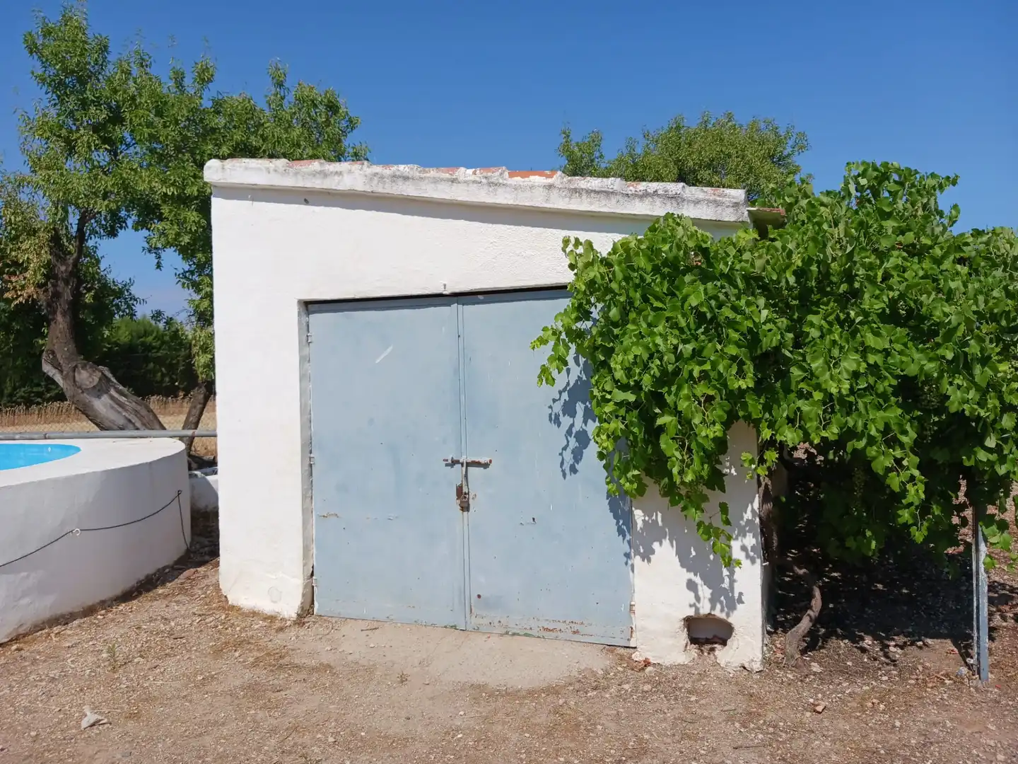 Vista exterior de Finca rústica en venta en Ciudad Real con Amueblado