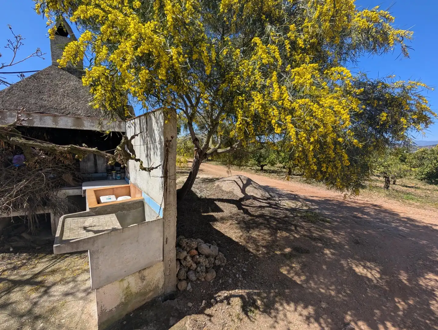 Grundstücke zum Verkauf in Ulldecona