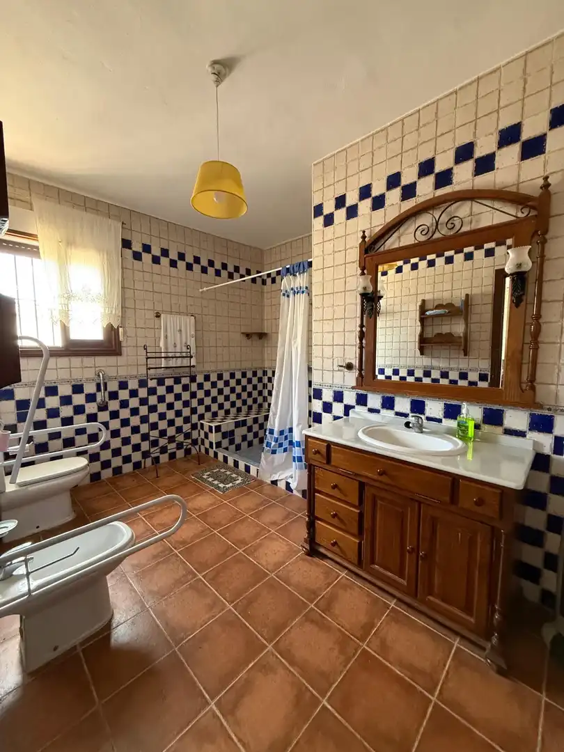 Baño de Finca rústica en venta en Centro
