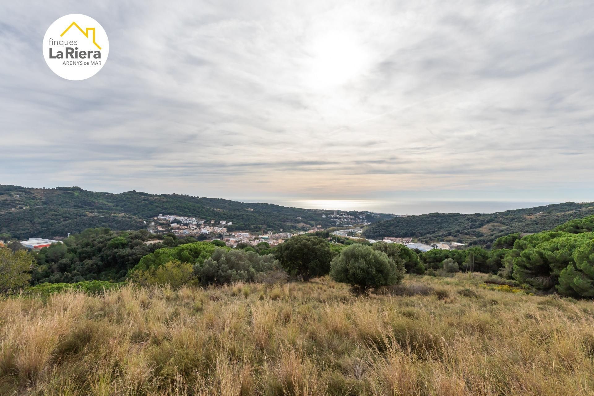 Casa o xalet en venda en Arenys de Mar amb Terrassa, Piscina i Alarma