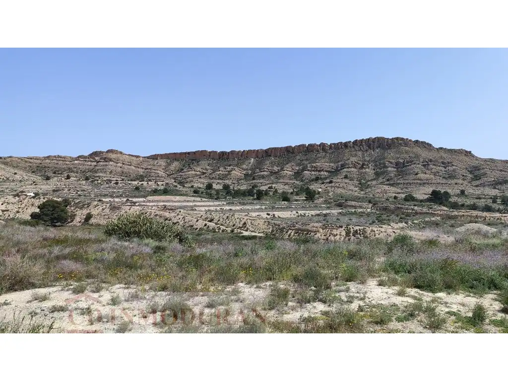 Terreno rustico in vendita a Carrer Ibi, imagen 18