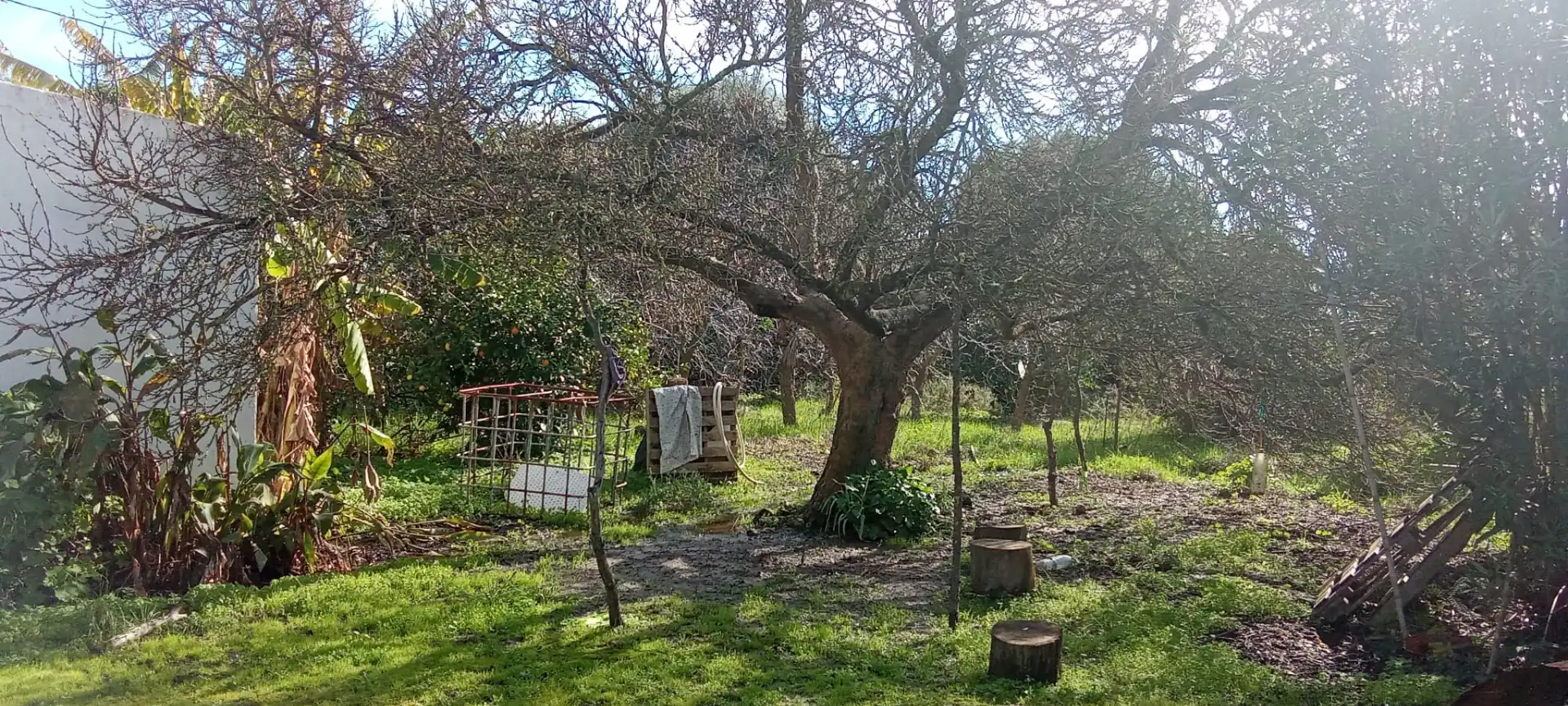 Casa rústica en venda a Vejer, imagen 14