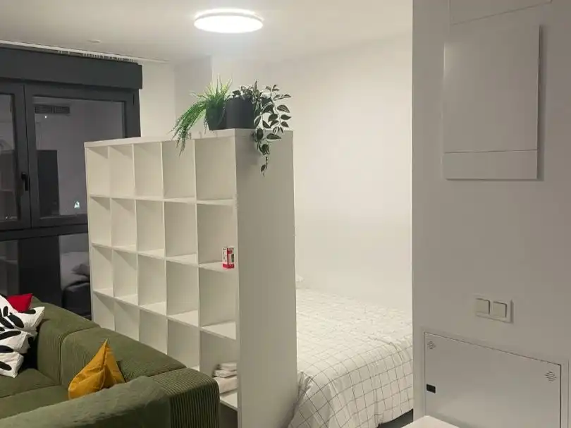 Wohnung mit Pool zur Miete in Paseo Martiricos 30, imagen 2