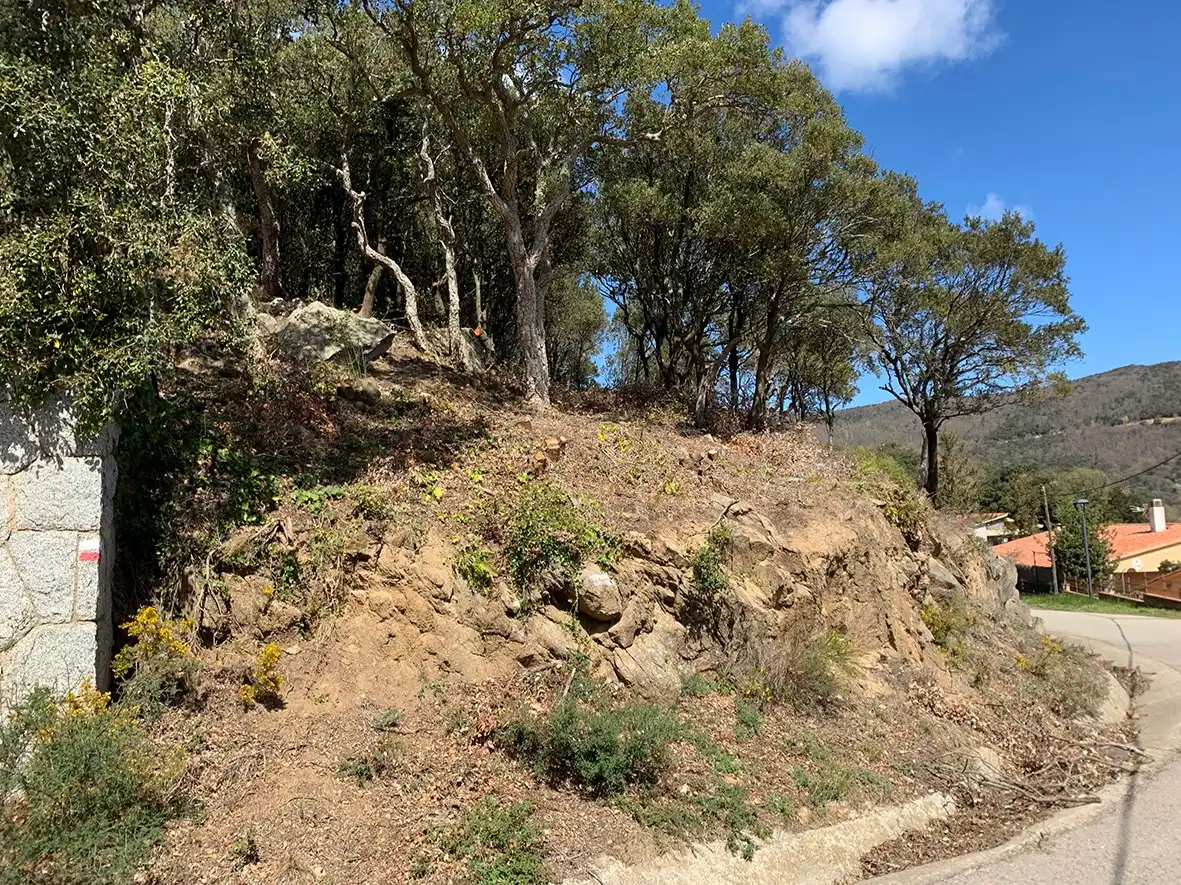 Rustikales Grundstück zum Verkauf in Carretera de les Mines 18, imagen 2