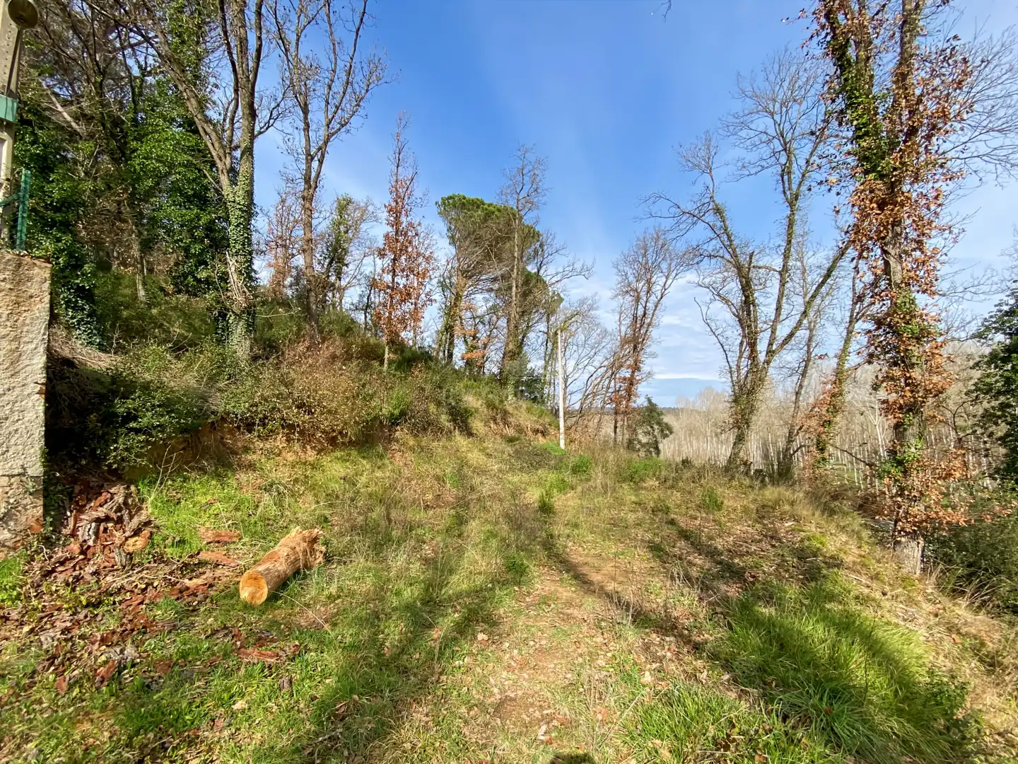 Terrenos y solares en venta en Massanes, imagen 4