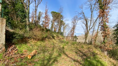 Se vende parcela de 700 m con una superficie de 560 m edificables en la tranquila Urbanización SantRoc, en Massanes.Se encuentra c, imagen 4