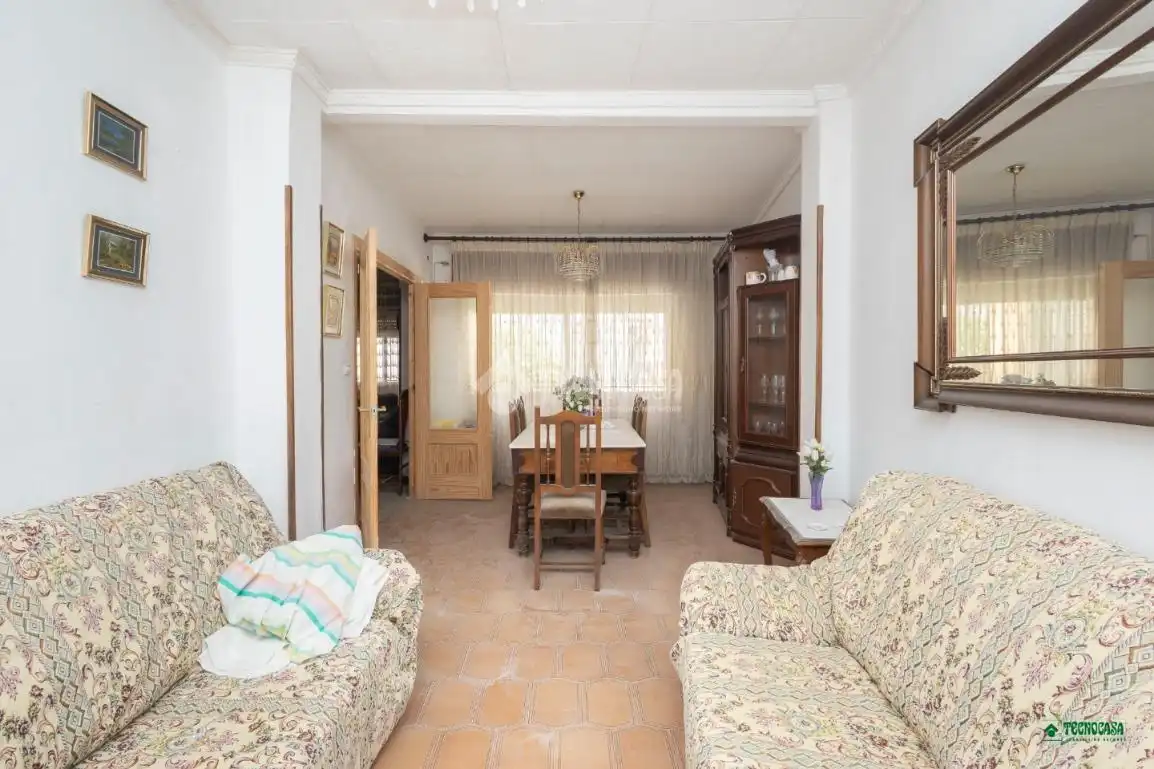 Sala d'estar de Casa adosada en venda en Albox amb Balcó