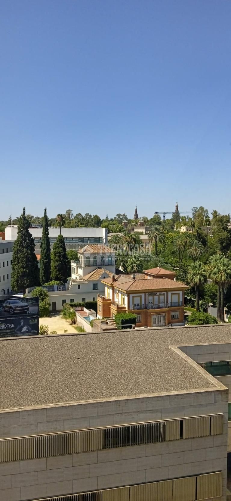 Pis de lloguer a Sector Sur  - La Palmera - Reina Mercedes, Bellavista - La Palmera,  Sevilla Capital