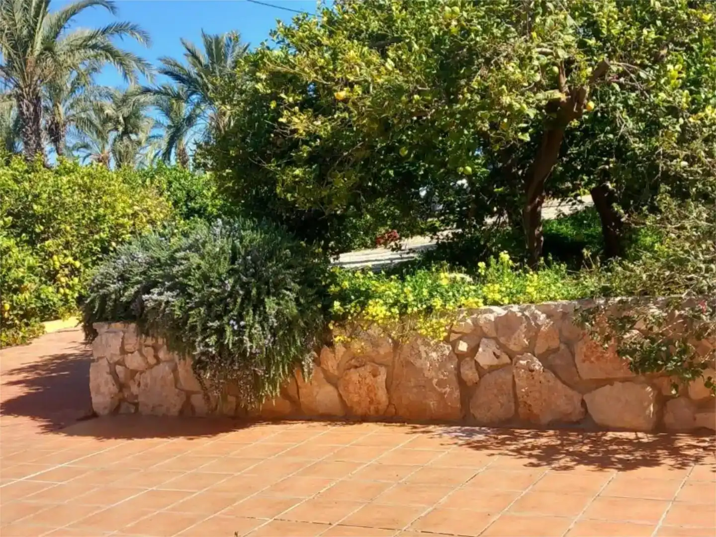 Jardí de Finca rústica en venda en  Murcia Capital amb Aire condicionat