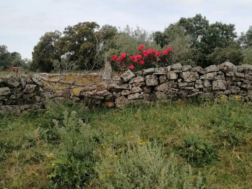 Haus zum Verkauf in CERVANTES 22, imagen 14