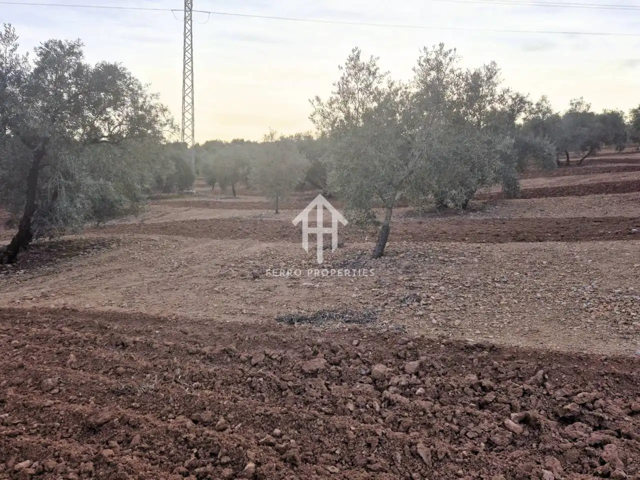 Terreny rústic en venda a Poligono ventorros de laguna 1, imagen 12