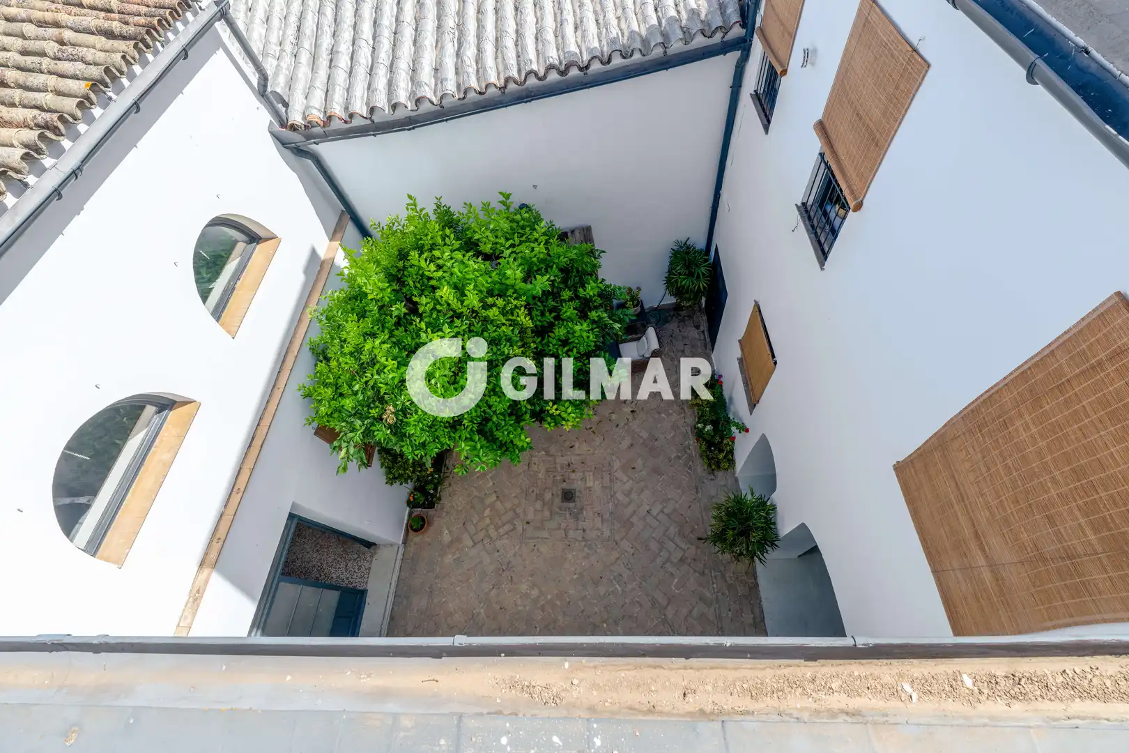 Xalet amb jardí en venda a Centro, imagen 42