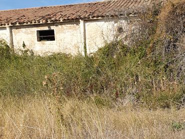 Industrial building for sale in La Rioja-261 138