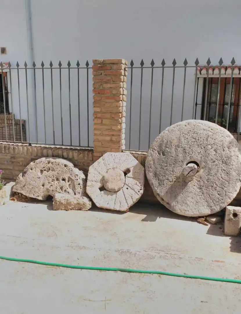 Jardí de Finca rústica en venda en Antequera amb Jardí privat